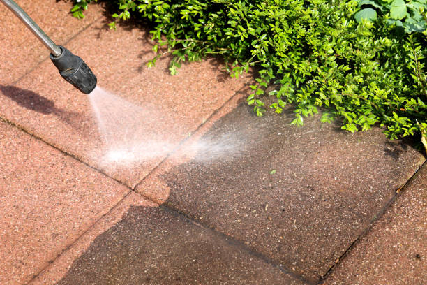 Professional Pressure Washing in Gainesville, GA