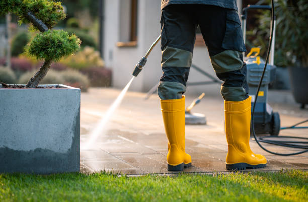 Best Affordable Power Washing  in Inesville, GA